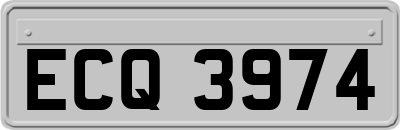 ECQ3974
