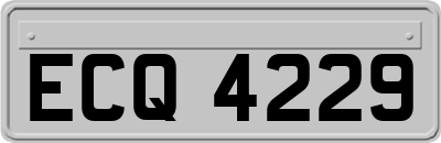 ECQ4229