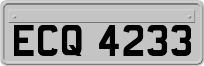 ECQ4233