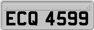 ECQ4599
