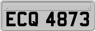 ECQ4873