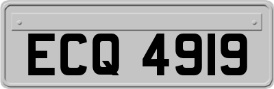 ECQ4919