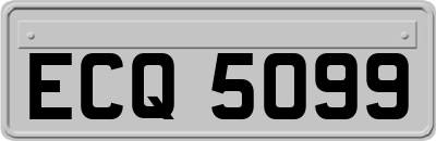 ECQ5099
