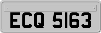ECQ5163
