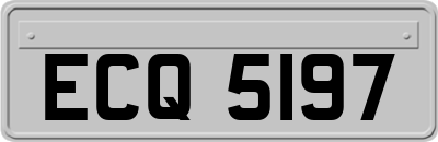 ECQ5197