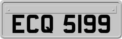 ECQ5199