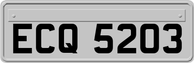 ECQ5203