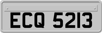 ECQ5213