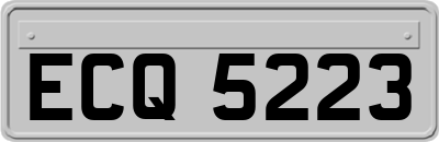 ECQ5223