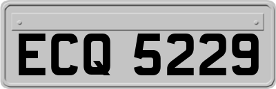 ECQ5229