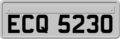 ECQ5230
