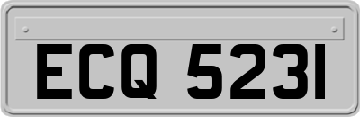 ECQ5231