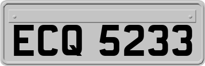 ECQ5233