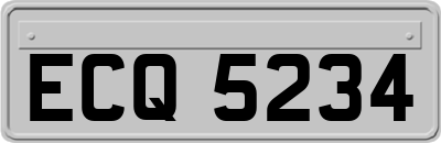 ECQ5234