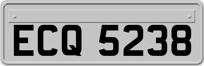 ECQ5238