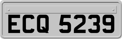 ECQ5239