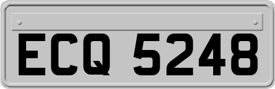 ECQ5248