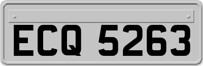 ECQ5263