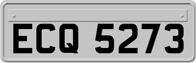 ECQ5273