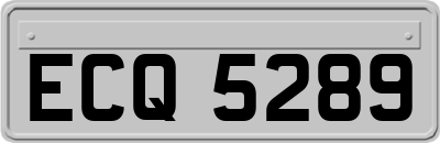 ECQ5289