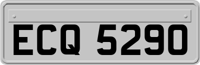 ECQ5290