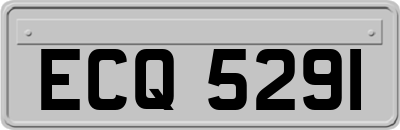ECQ5291