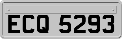 ECQ5293