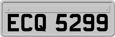 ECQ5299