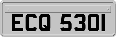 ECQ5301