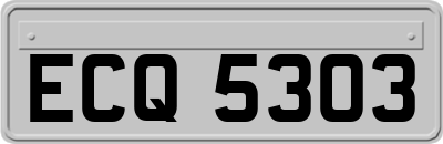 ECQ5303