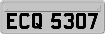 ECQ5307