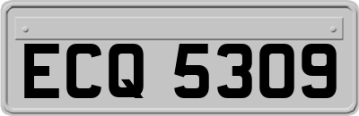 ECQ5309
