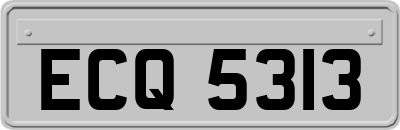 ECQ5313