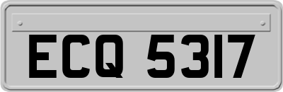 ECQ5317
