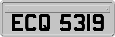 ECQ5319