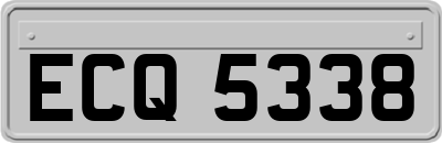 ECQ5338