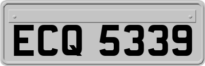 ECQ5339