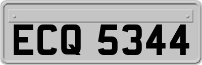 ECQ5344
