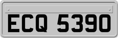ECQ5390