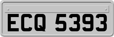 ECQ5393