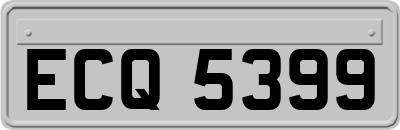 ECQ5399
