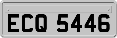 ECQ5446