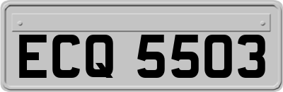 ECQ5503