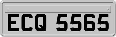 ECQ5565