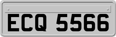 ECQ5566