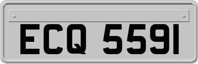 ECQ5591