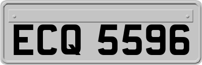 ECQ5596