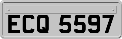 ECQ5597