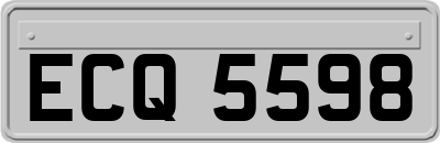 ECQ5598