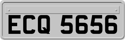 ECQ5656